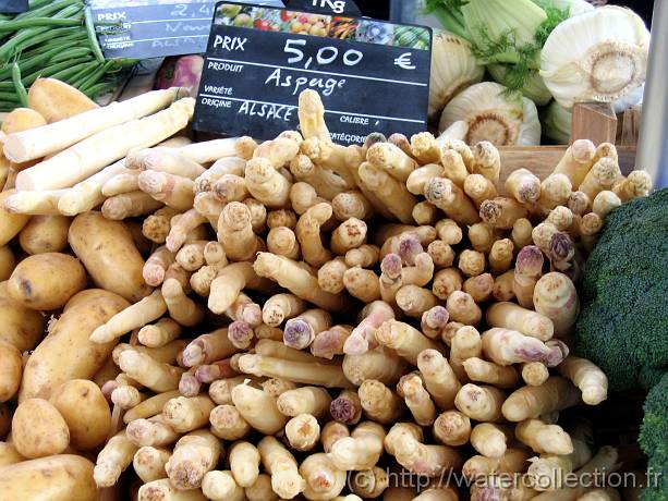 2007-05-12_08-32-50_Mai_65,4mm_1_60_eme_Canon PowerShot A95 